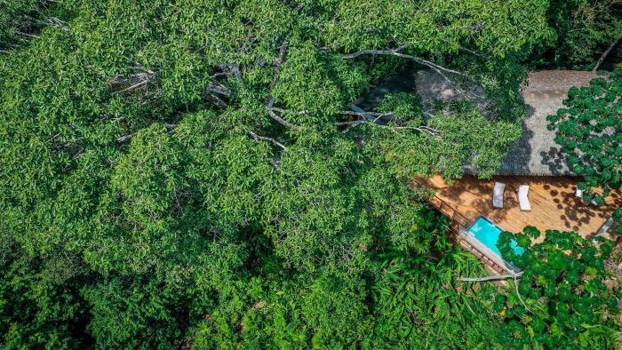 Lapa Rios Lodge By Boeena Puerto Jiménez Oda fotoğraf