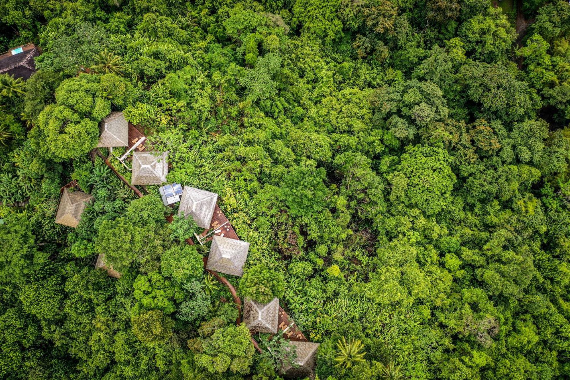 Lapa Rios Lodge By Boeena Puerto Jiménez Dış mekan fotoğraf