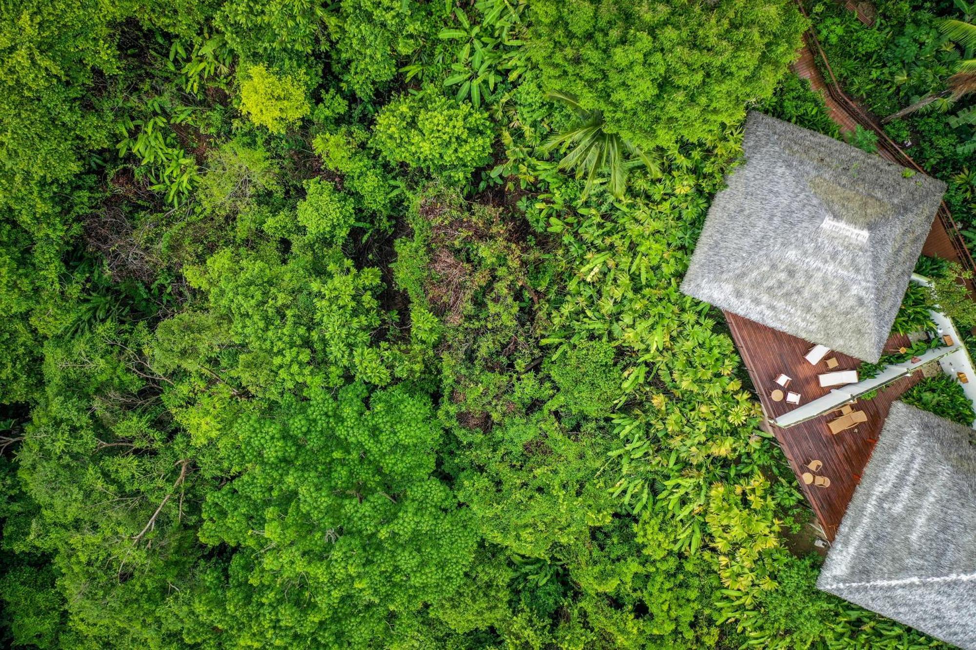 Lapa Rios Lodge By Boeena Puerto Jiménez Dış mekan fotoğraf