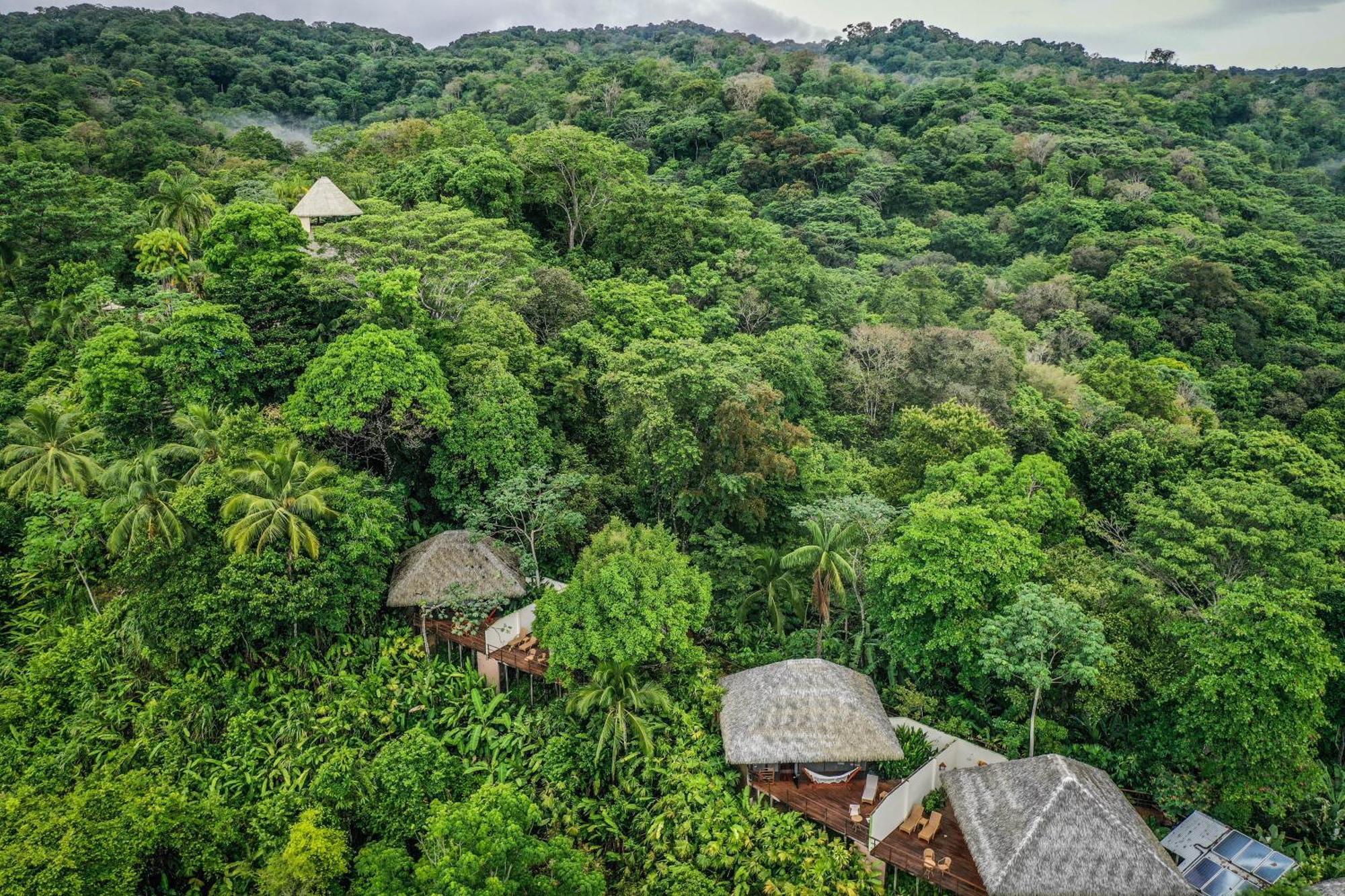 Lapa Rios Lodge By Boeena Puerto Jiménez Dış mekan fotoğraf