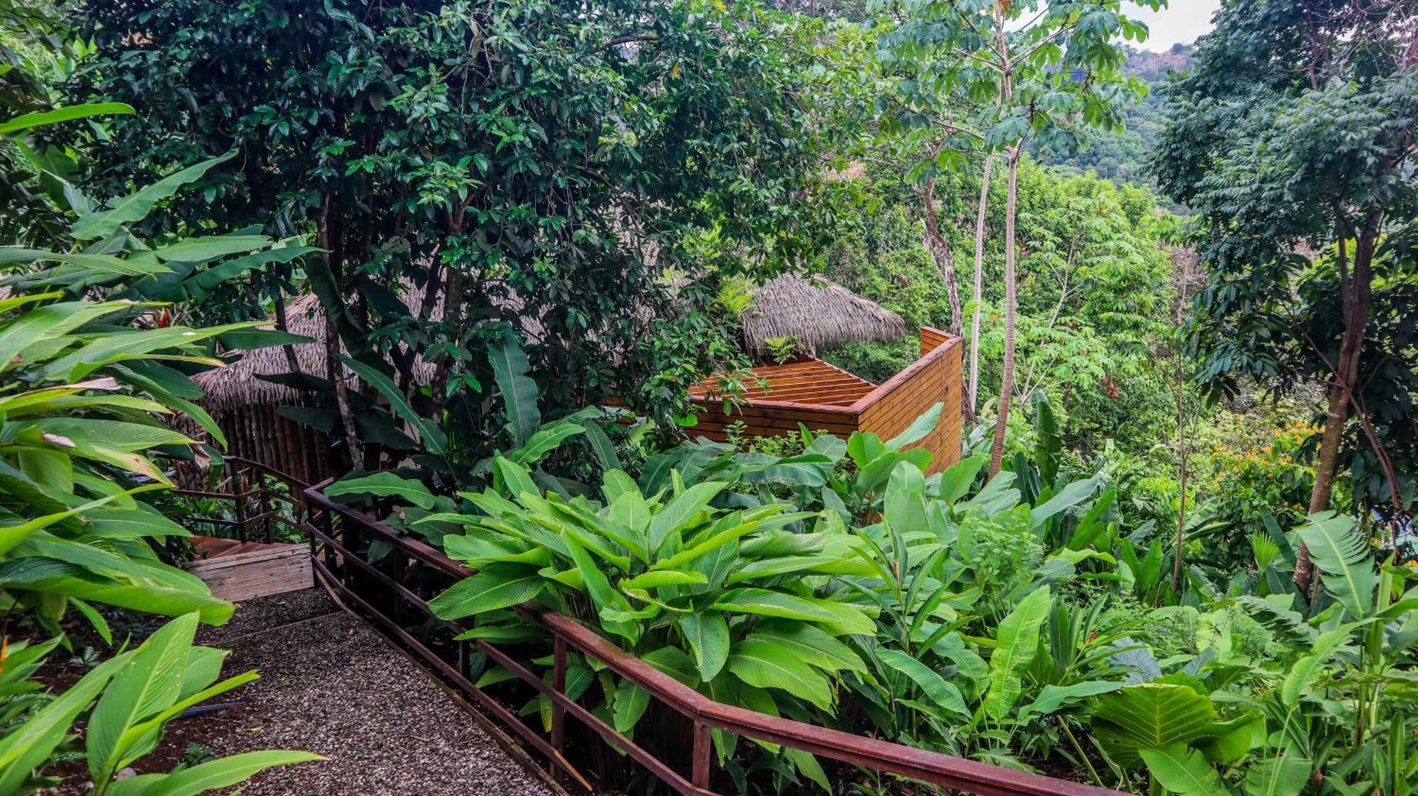 Lapa Rios Lodge By Boeena Puerto Jiménez Dış mekan fotoğraf