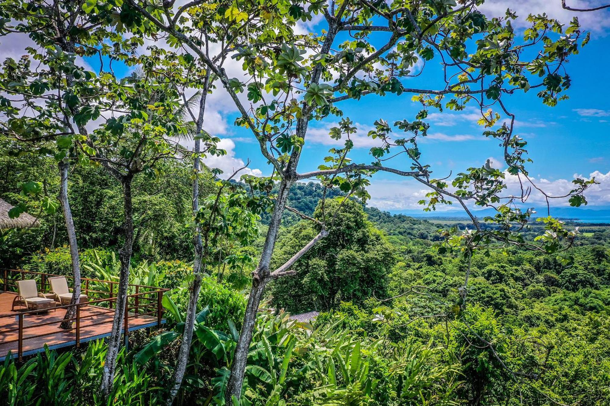 Lapa Rios Lodge By Boeena Puerto Jiménez Dış mekan fotoğraf