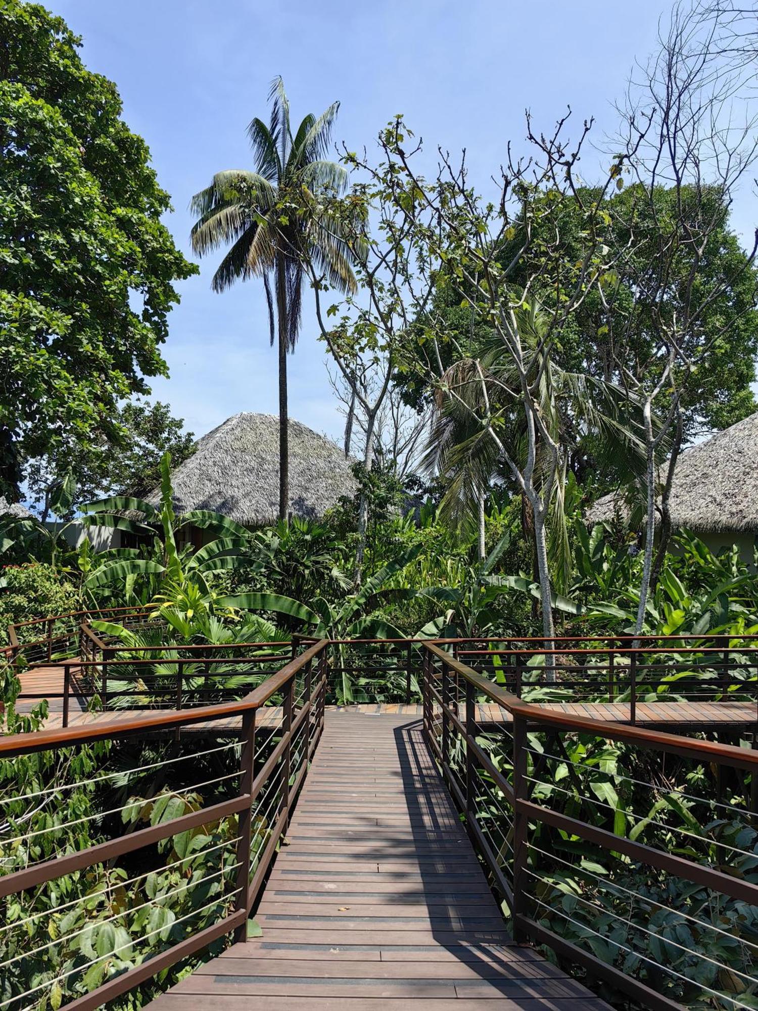 Lapa Rios Lodge By Boeena Puerto Jiménez Dış mekan fotoğraf
