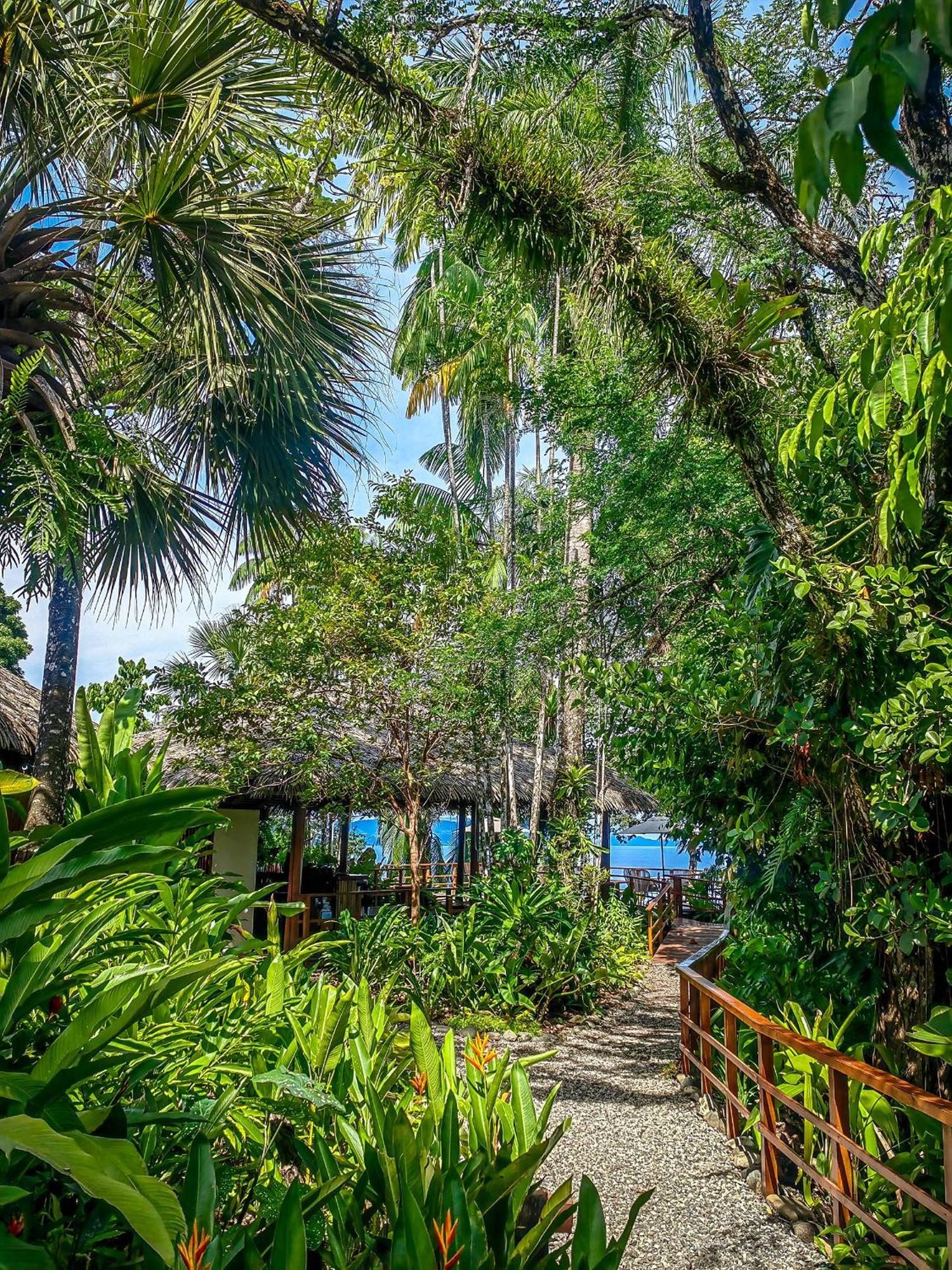 Lapa Rios Lodge By Boeena Puerto Jiménez Dış mekan fotoğraf