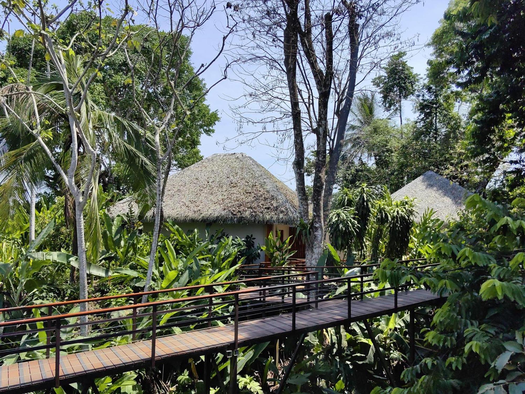 Lapa Rios Lodge By Boeena Puerto Jiménez Dış mekan fotoğraf