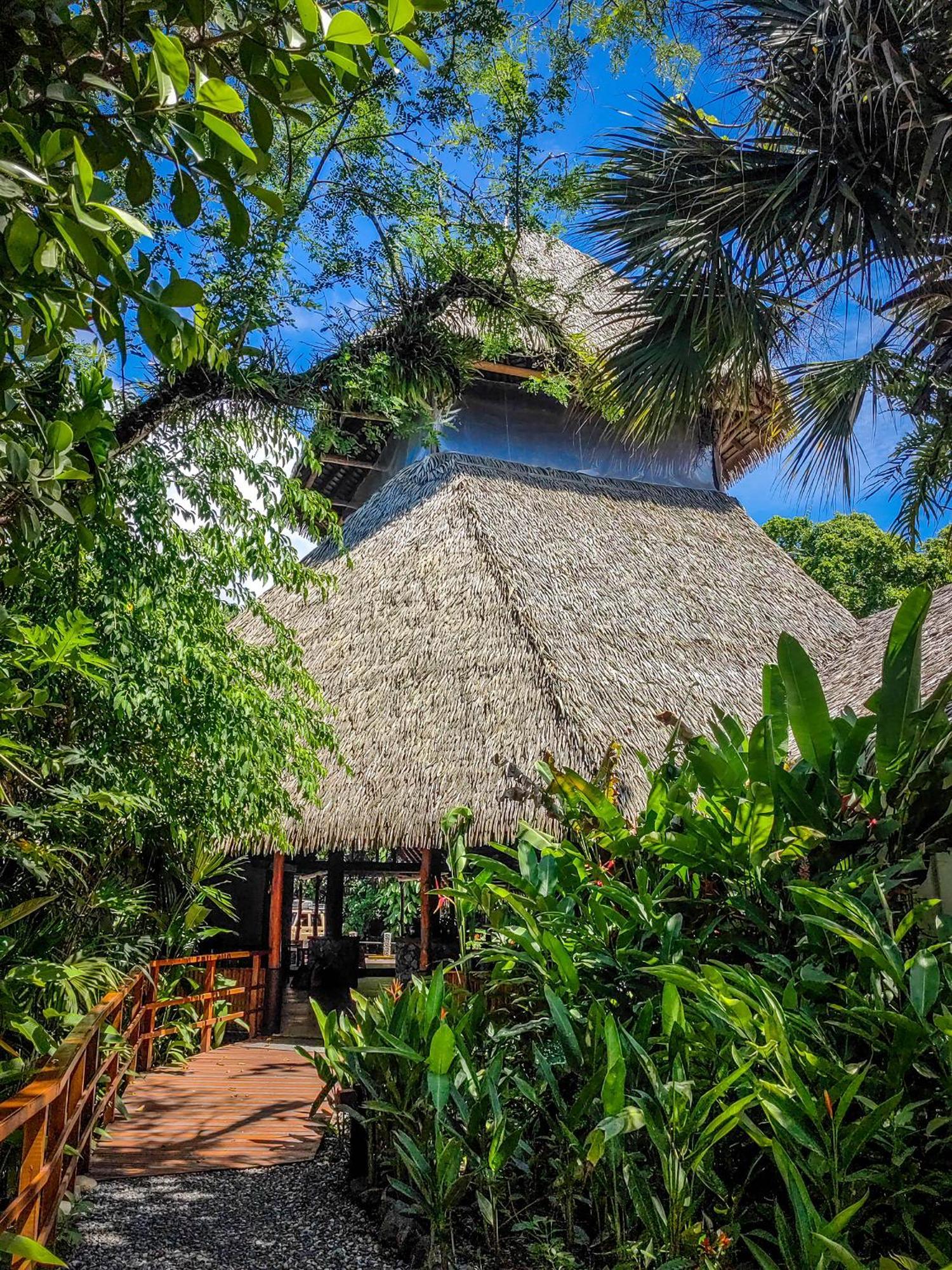 Lapa Rios Lodge By Boeena Puerto Jiménez Dış mekan fotoğraf