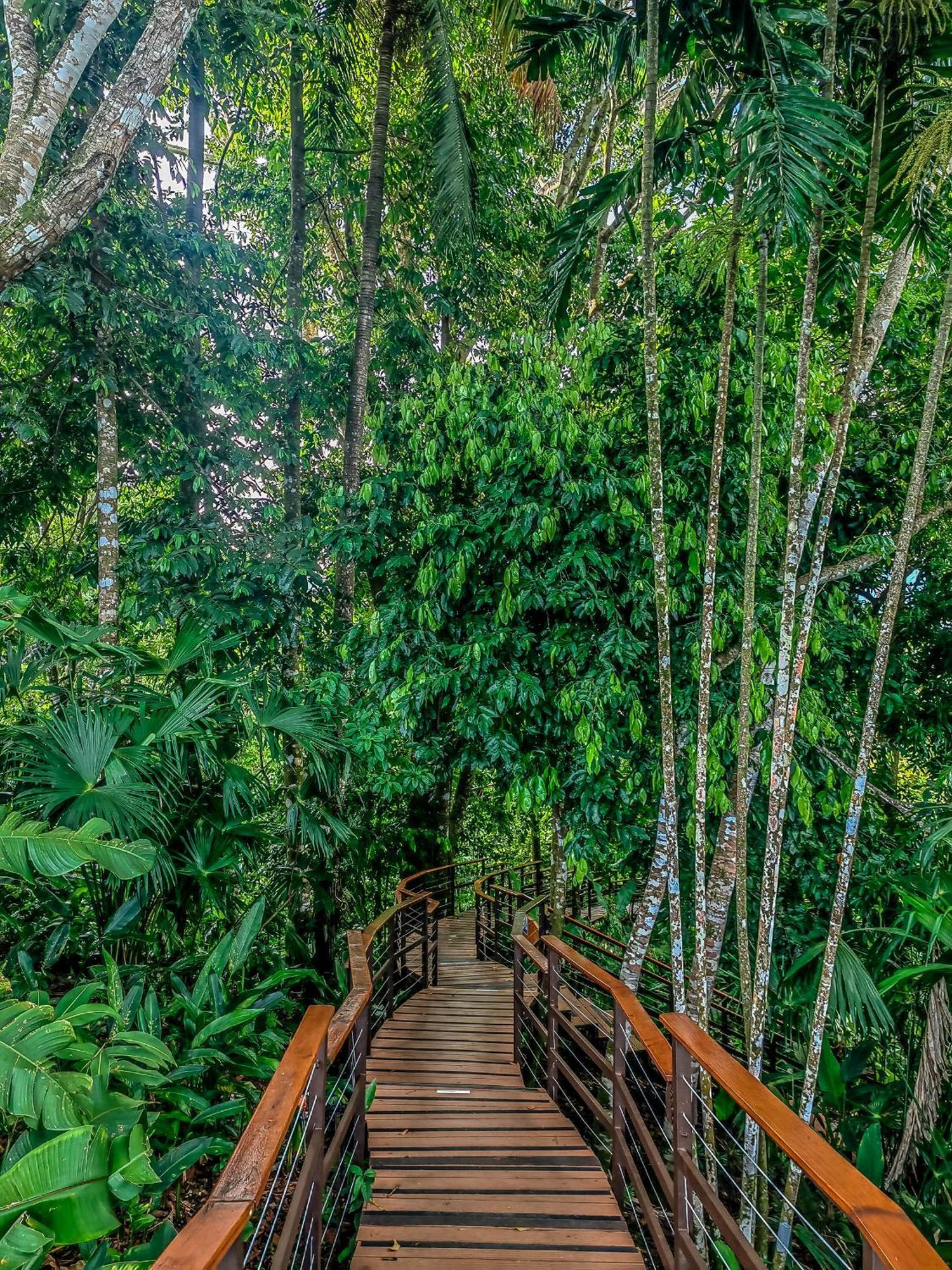 Lapa Rios Lodge By Boeena Puerto Jiménez Dış mekan fotoğraf