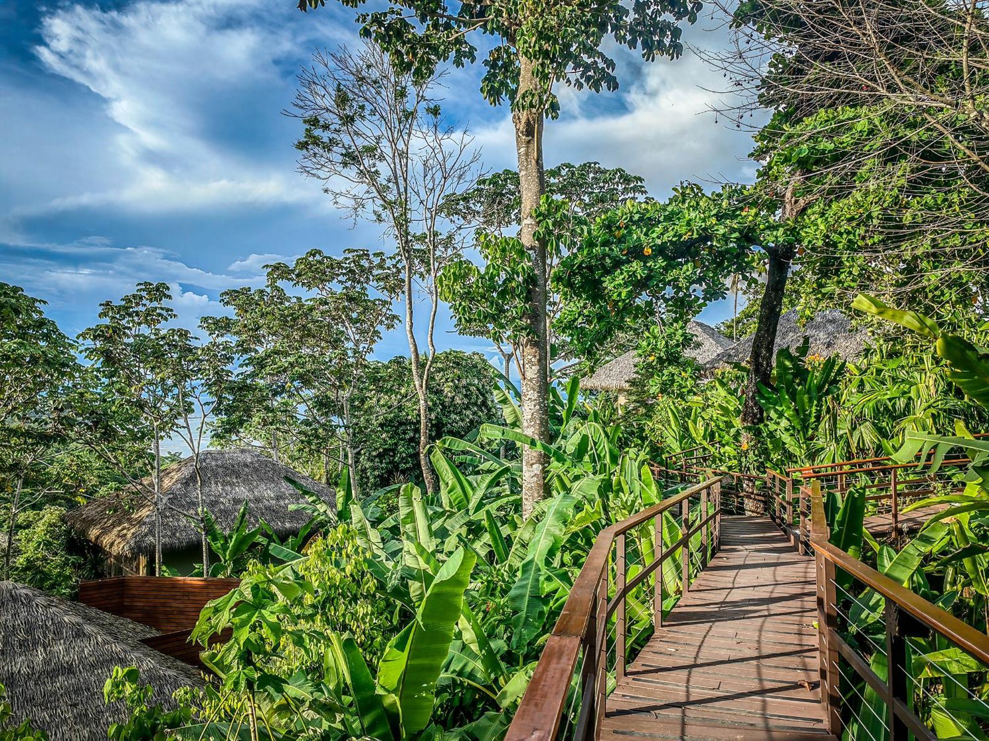 Lapa Rios Lodge By Boeena Puerto Jiménez Dış mekan fotoğraf