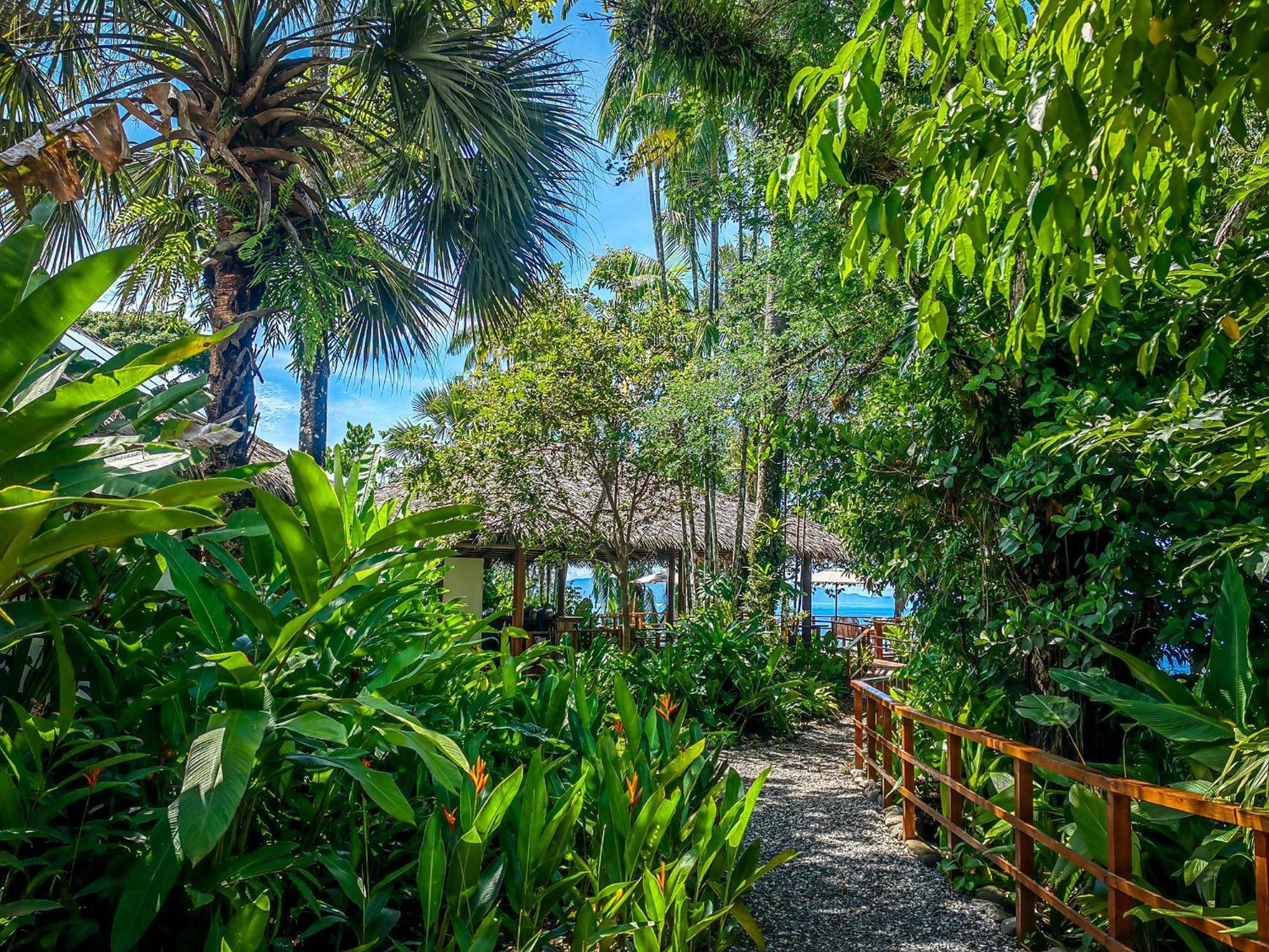 Lapa Rios Lodge By Boeena Puerto Jiménez Dış mekan fotoğraf