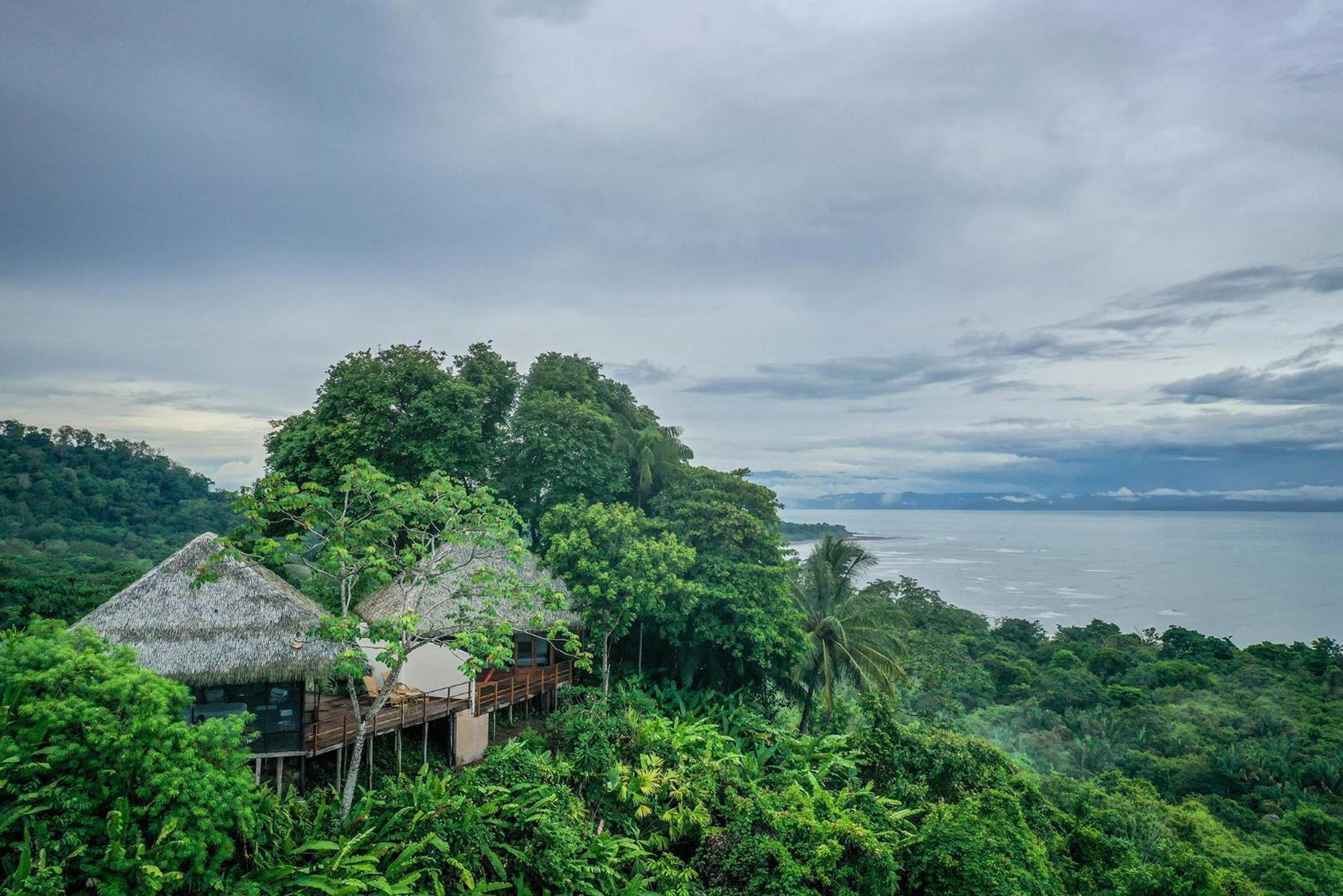 Lapa Rios Lodge By Boeena Puerto Jiménez Dış mekan fotoğraf