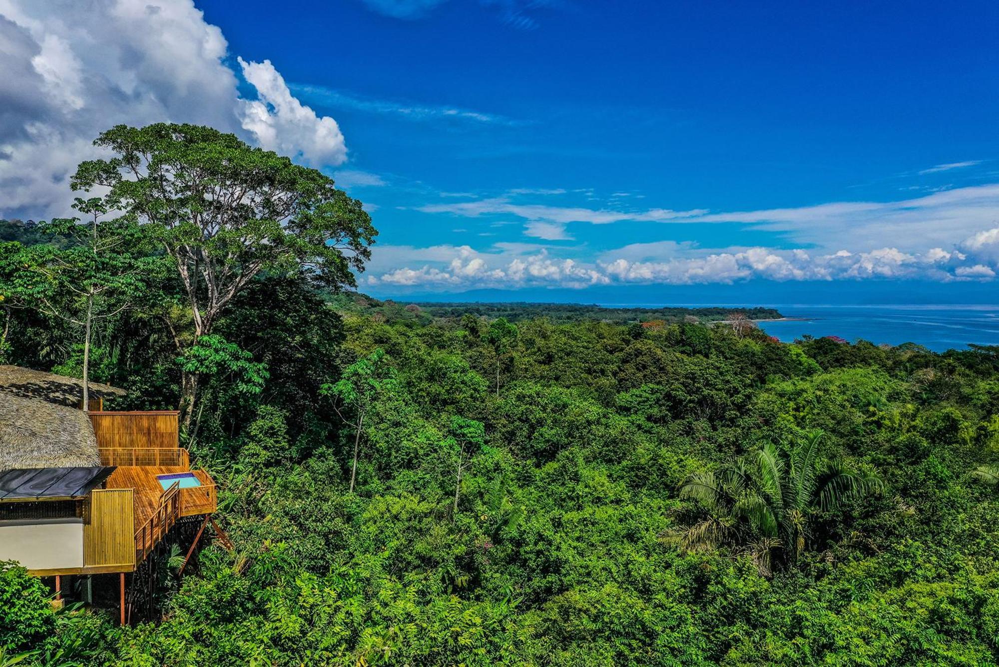 Lapa Rios Lodge By Boeena Puerto Jiménez Dış mekan fotoğraf